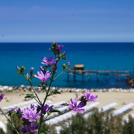 Nel Cuore Del Borgo Antico Termoli Extérieur photo